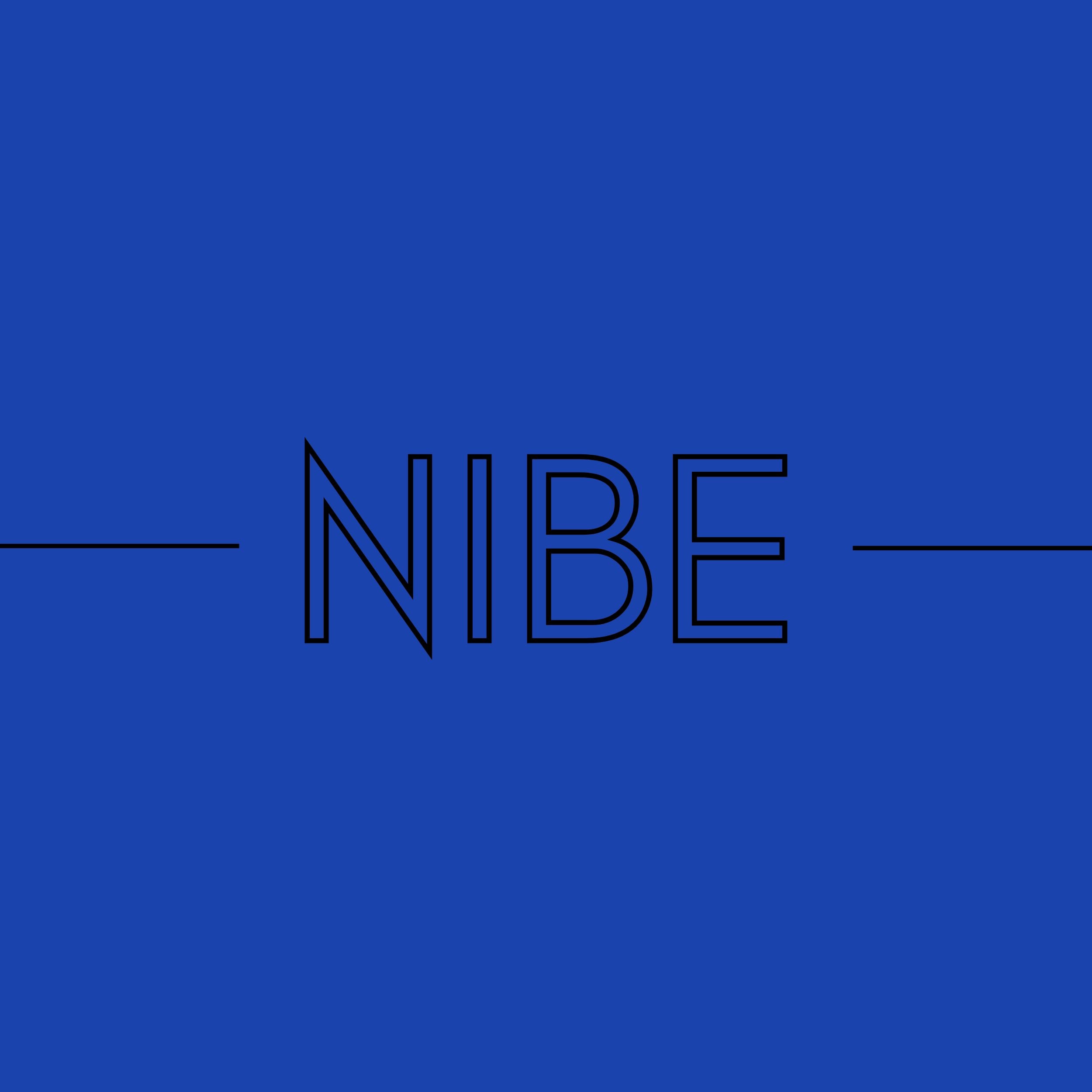 Felpa con cappuccio NIBE Classic - Nibe Clothing
