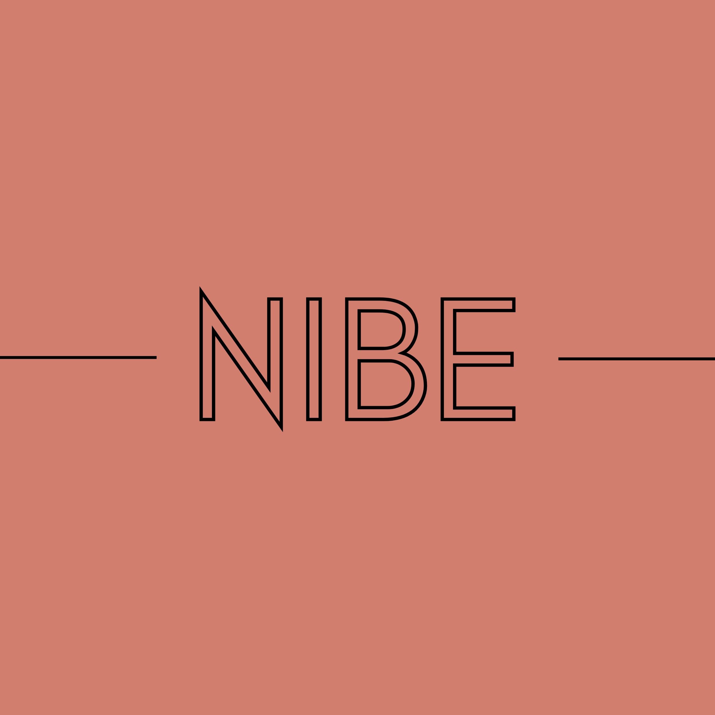 Felpa con cappuccio NIBE Classic - Nibe Clothing