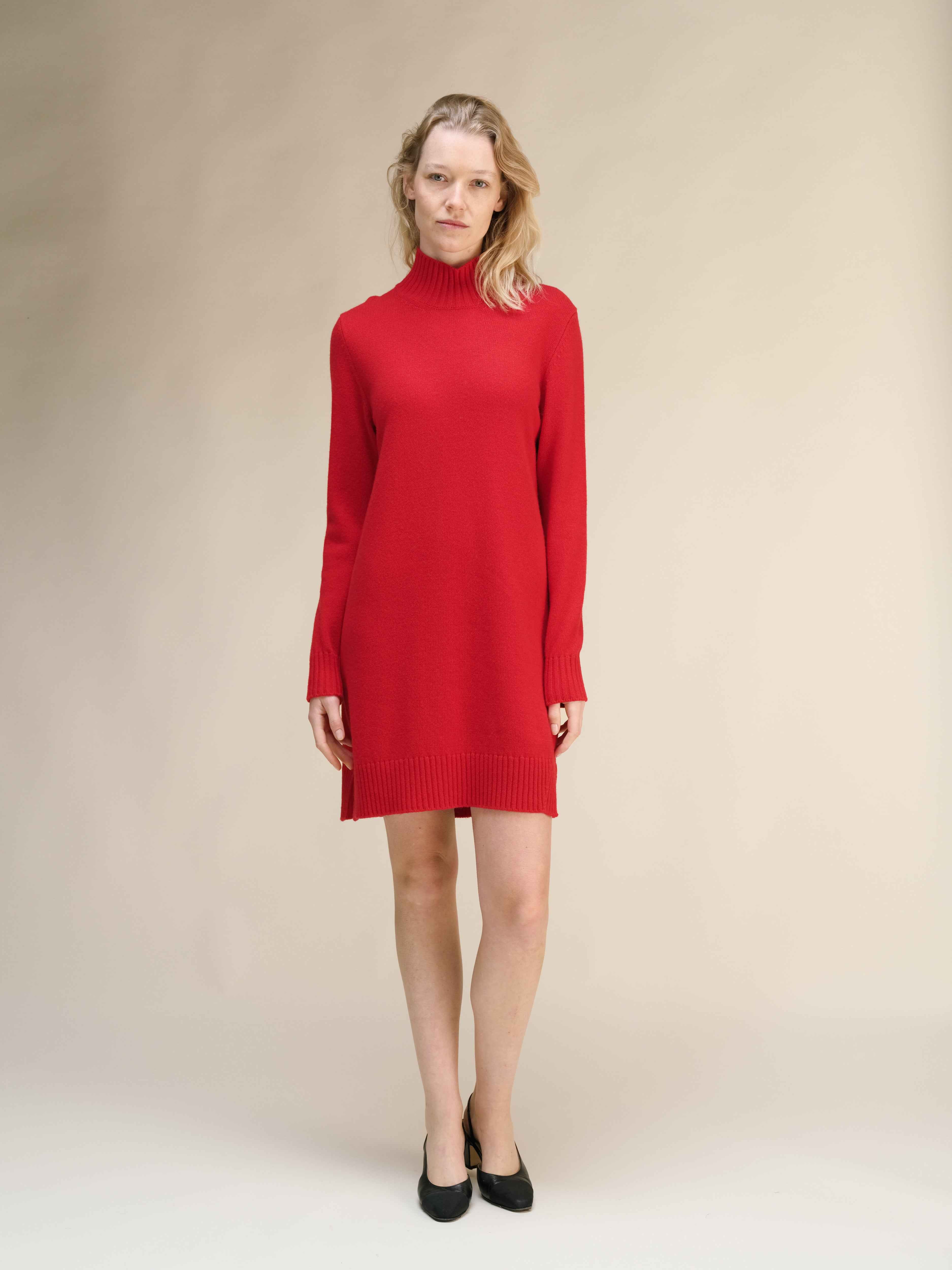 Cashmere Mix High Neck Midi Dress