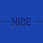 Felpa con cappuccio NIBE Classic - Nibe Clothing