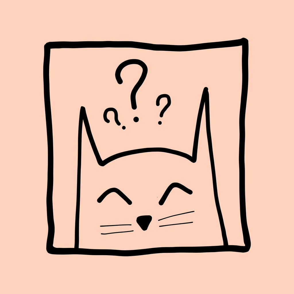 Maglietta Quirky Kitty - Nibe Clothing