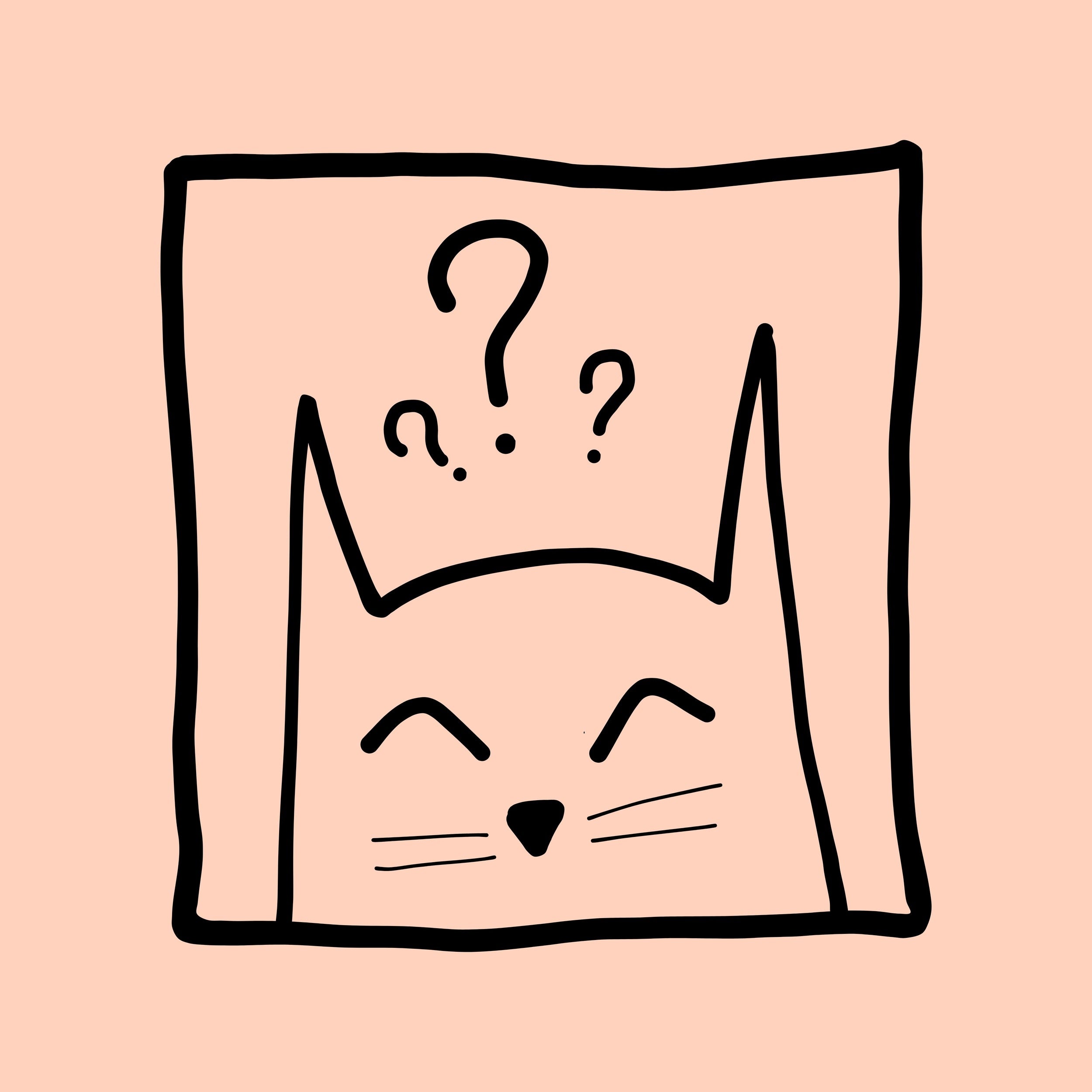 Maglietta Quirky Kitty - Nibe Clothing