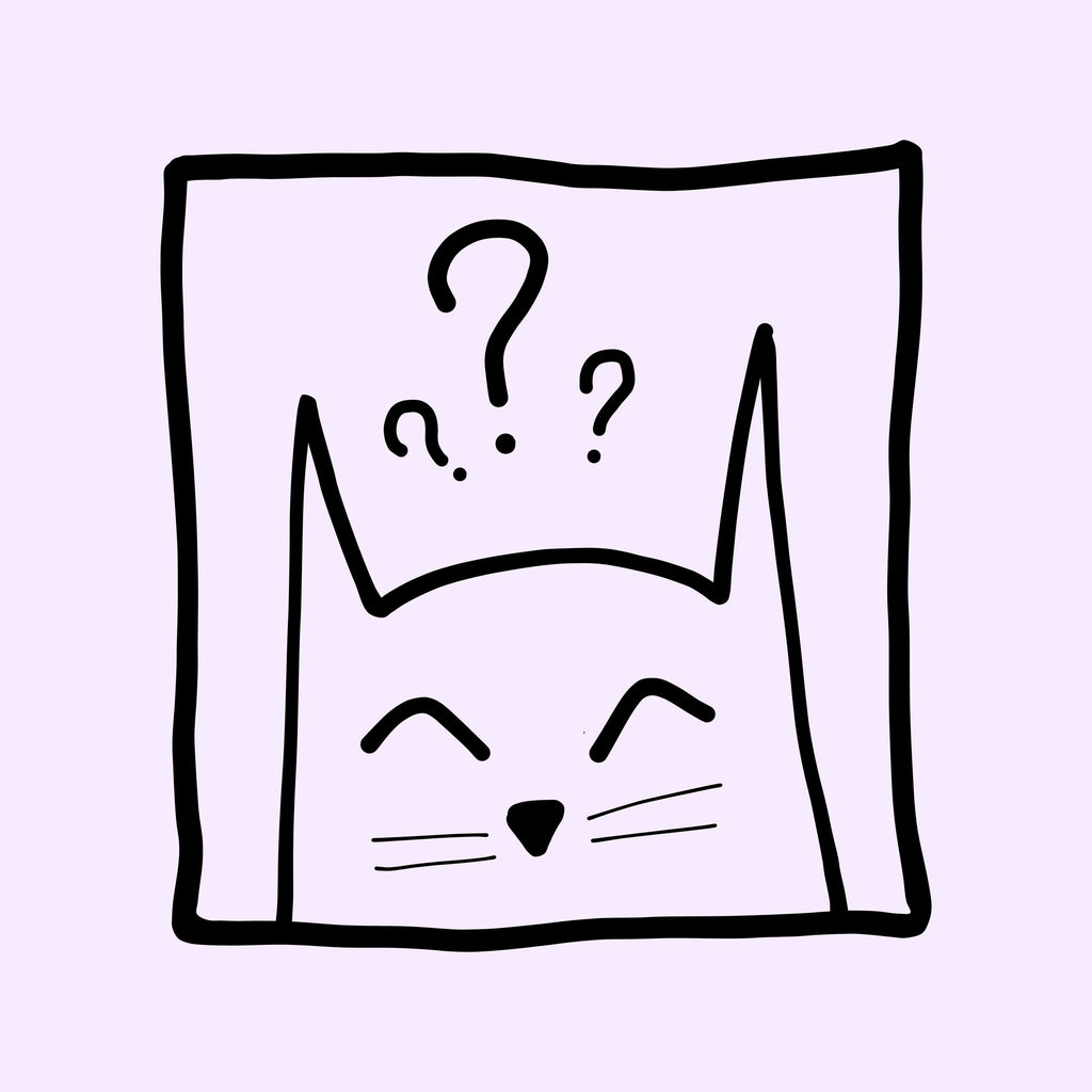 Maglietta Quirky Kitty - Nibe Clothing