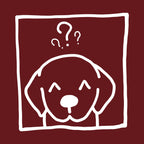 Maglietta Quirky Paws - Nibe Clothing