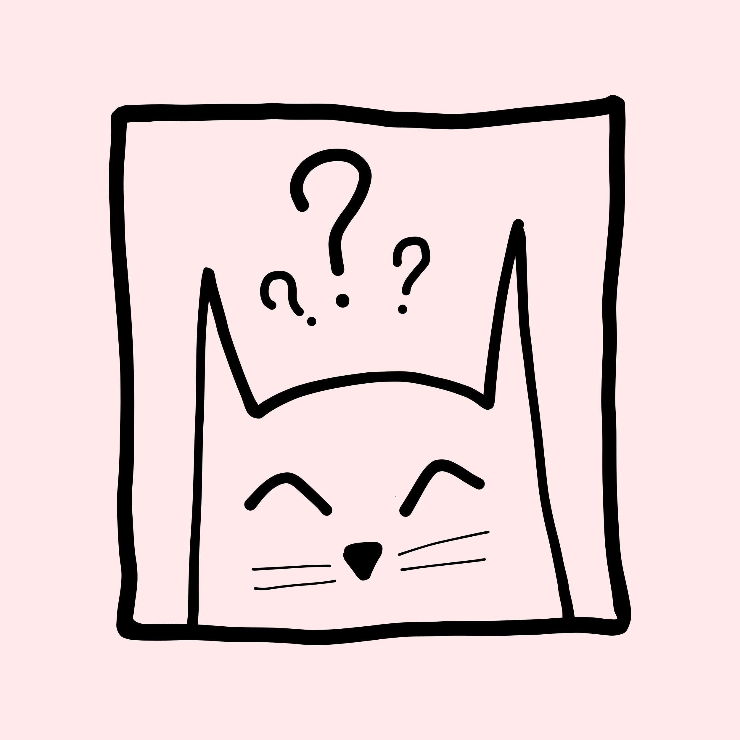 Maglietta Quirky Kitty - Nibe Clothing