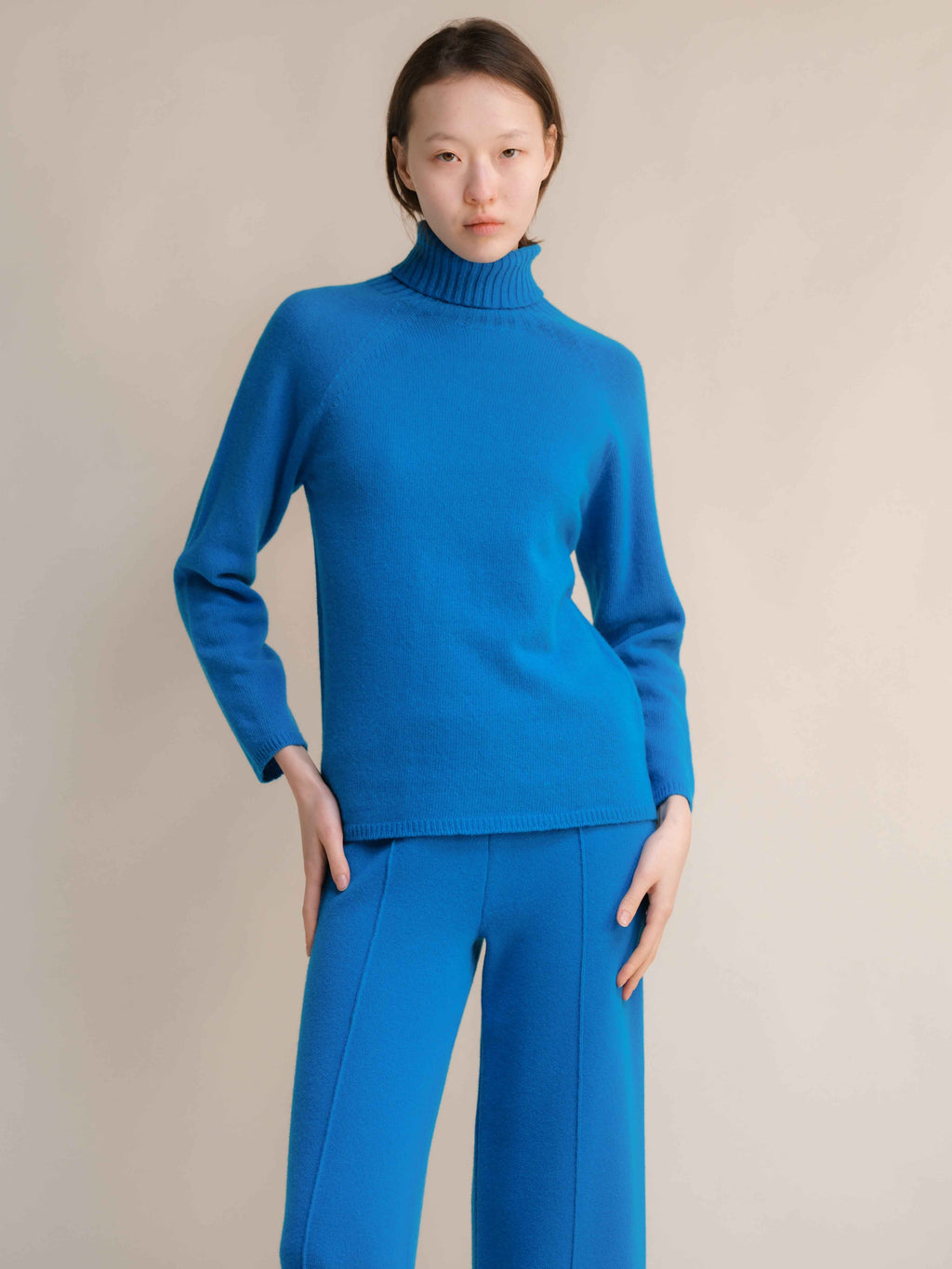 Cashmere Mix Turtleneck Sweater (3D-Knit)