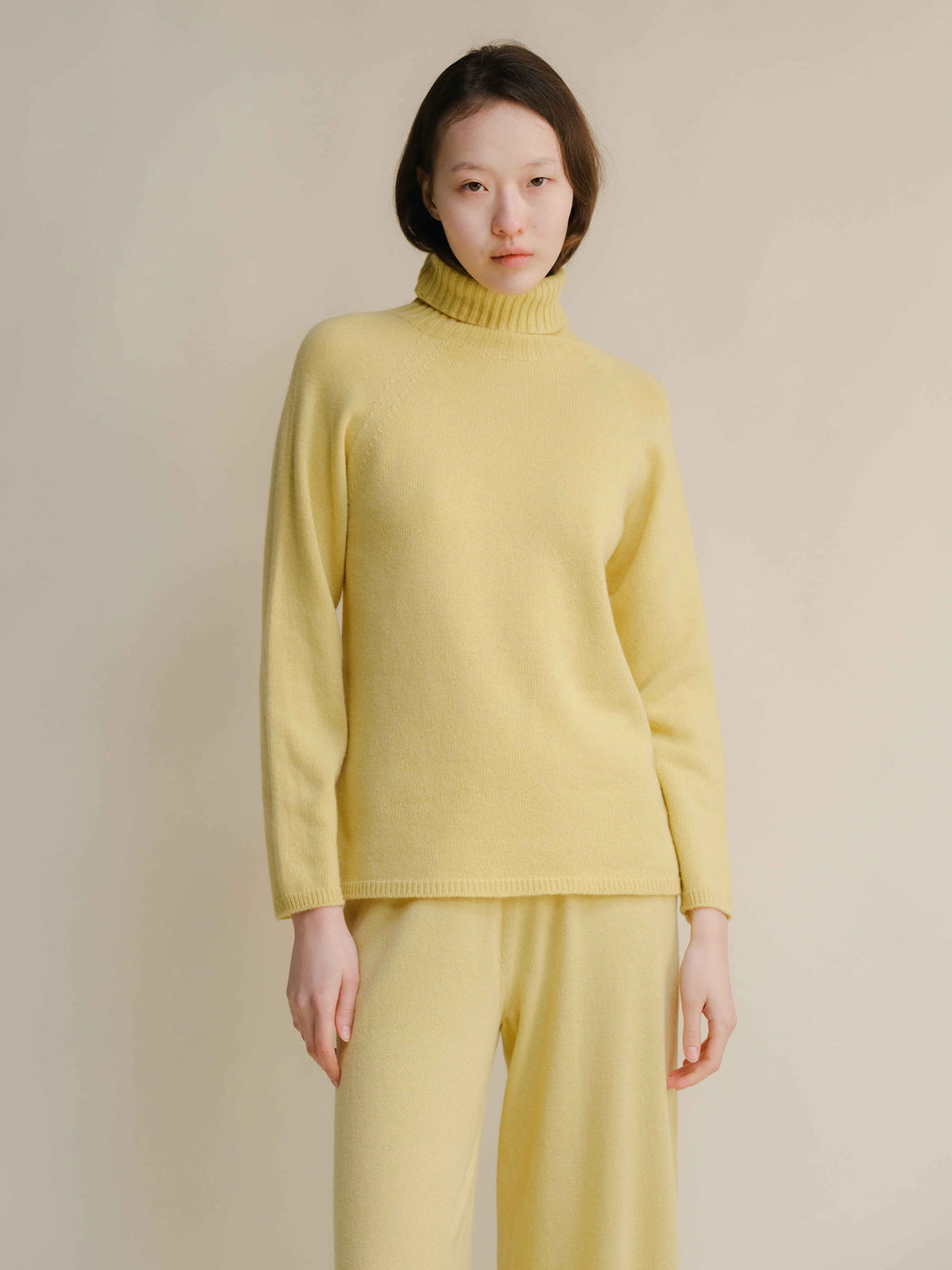 Cashmere Mix Turtleneck Sweater (3D-Knit)