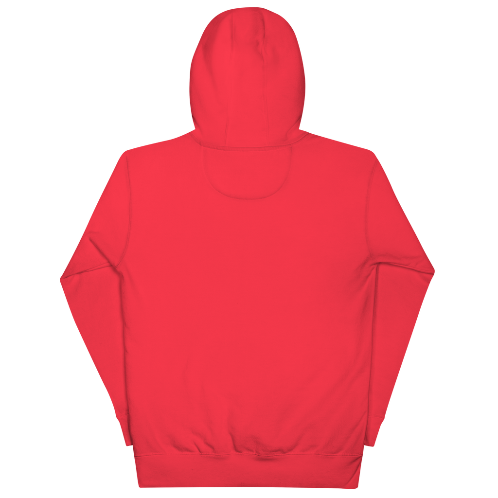 Felpa con cappuccio NIBE Classic - Nibe Clothing